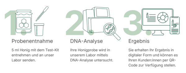 DNA Honiganalyse Sinsoma – Bild 3